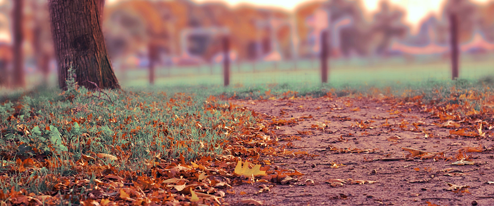 区域优化的网站流量攻击