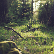 代理价格内部的网站流量攻击