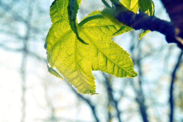 做事很靠谱的ddos攻击测试